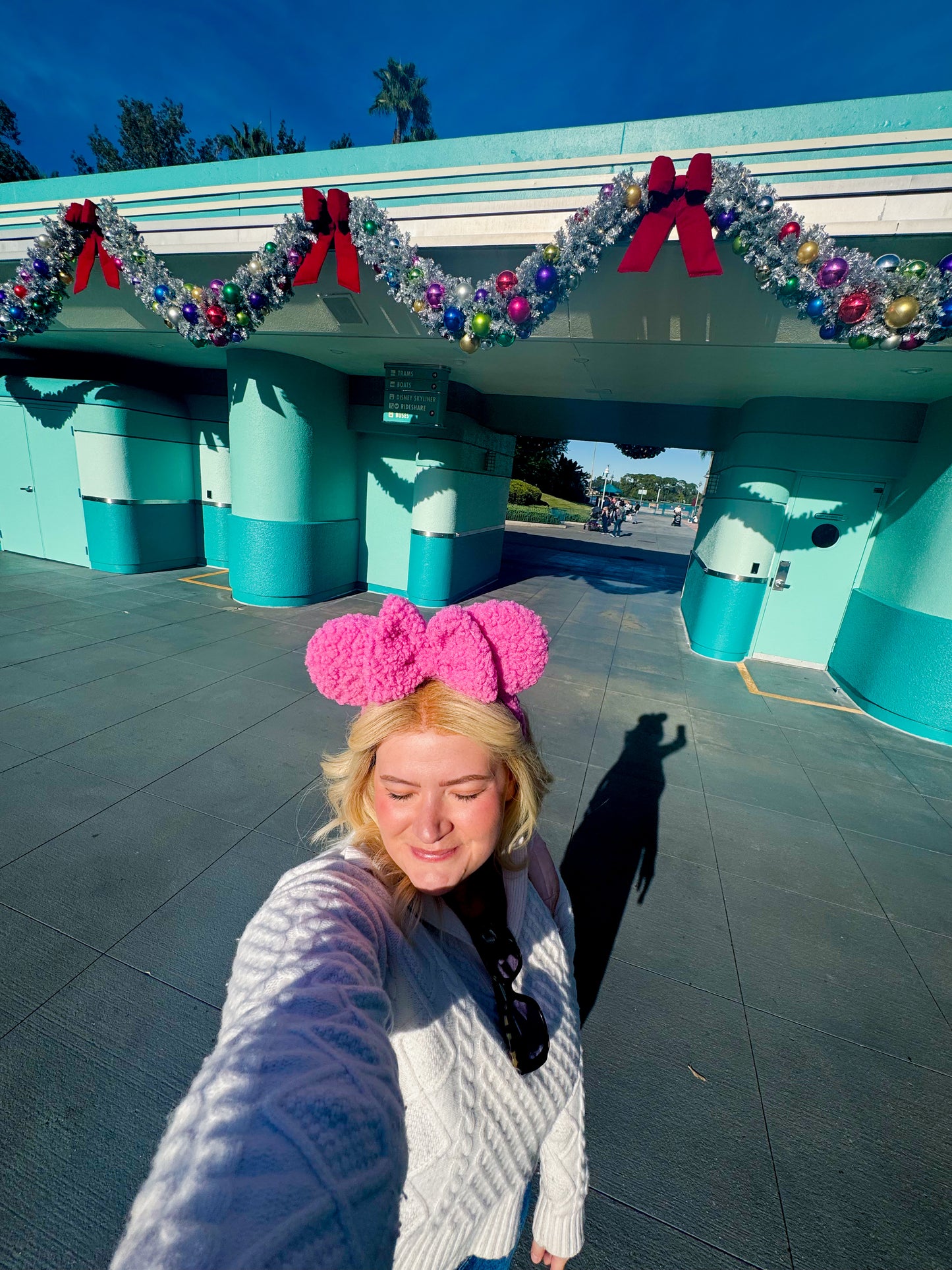 Pink Sherpa Ears (Limited Edition)