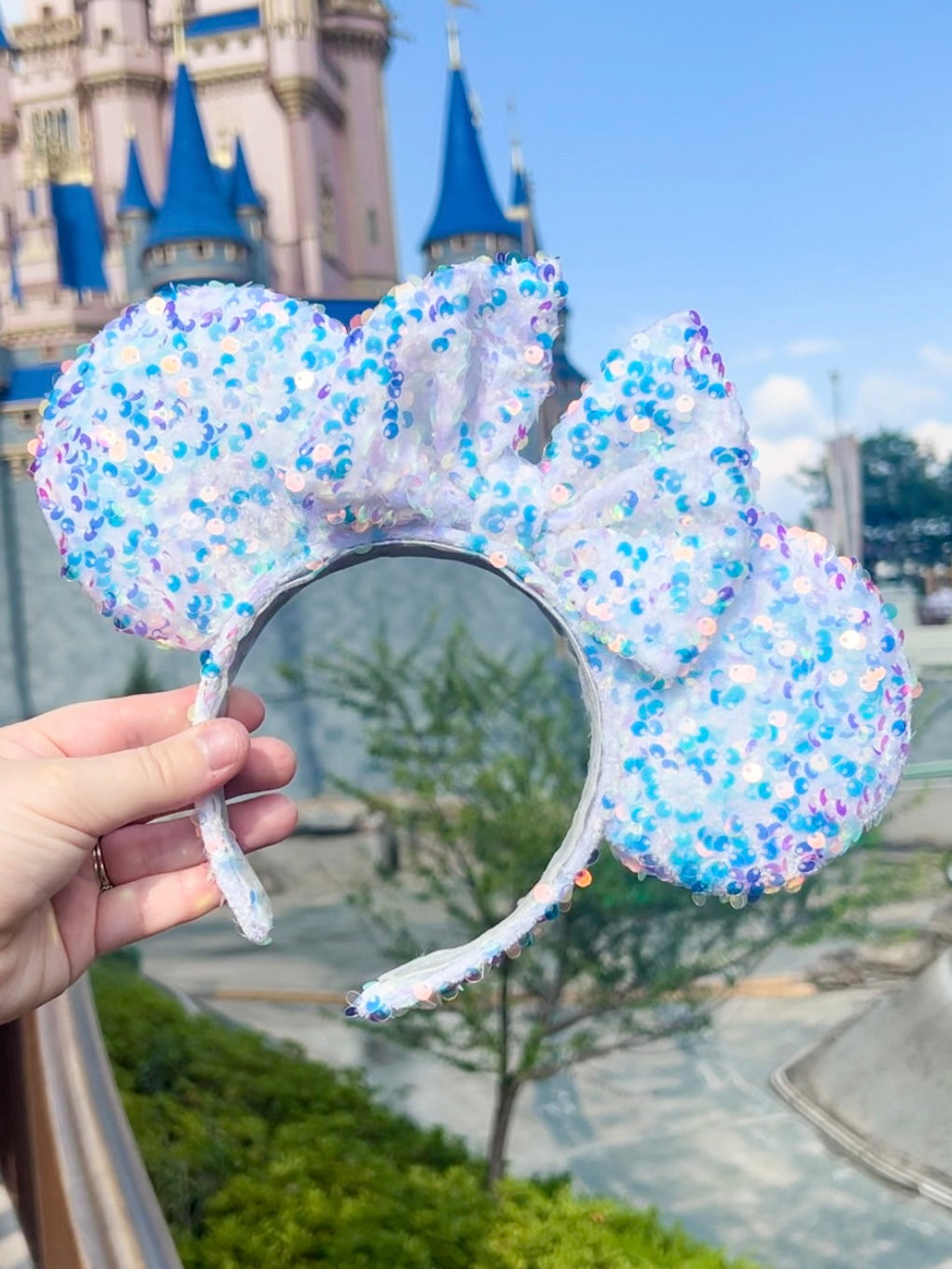 Glass Slipper Ears