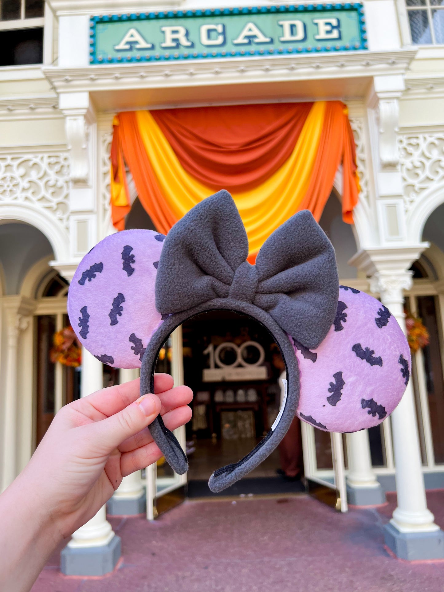 Mouse Bat Ears